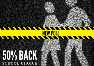 School Choice Poll