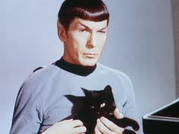 Spock Logic